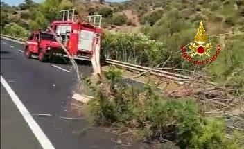 Gonnesa, traffico in tilt sulla Ss 126 per dei rami pericolanti: arrivano i Vigili del fuoco