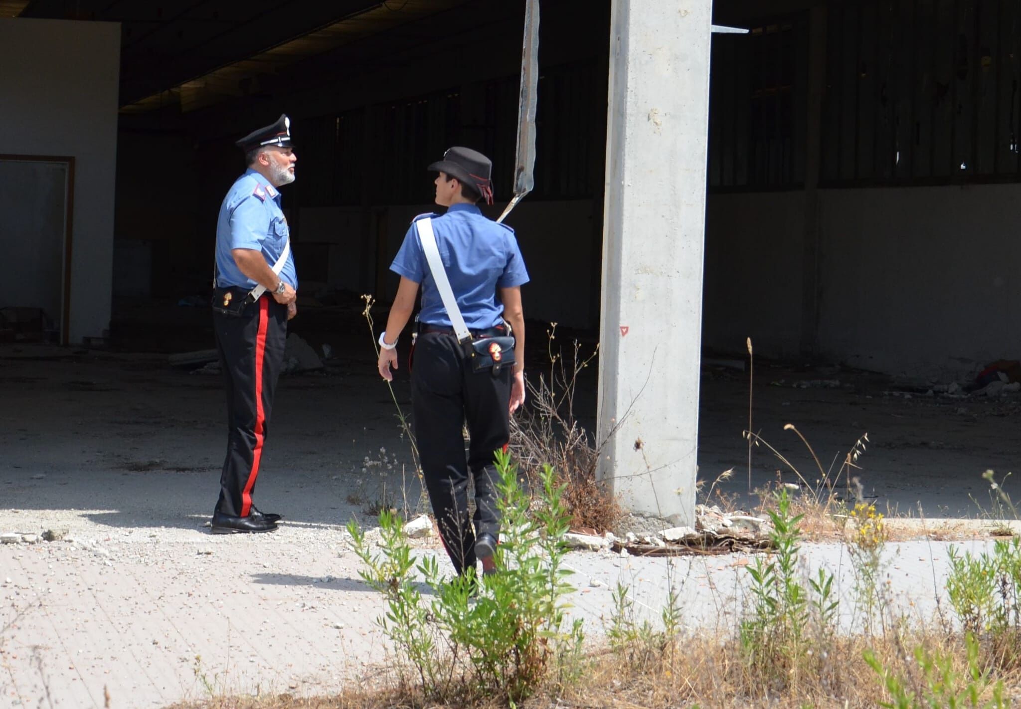 Guspini, ruba un carrello elevatore: il ladro immortalato dalle fototrappole