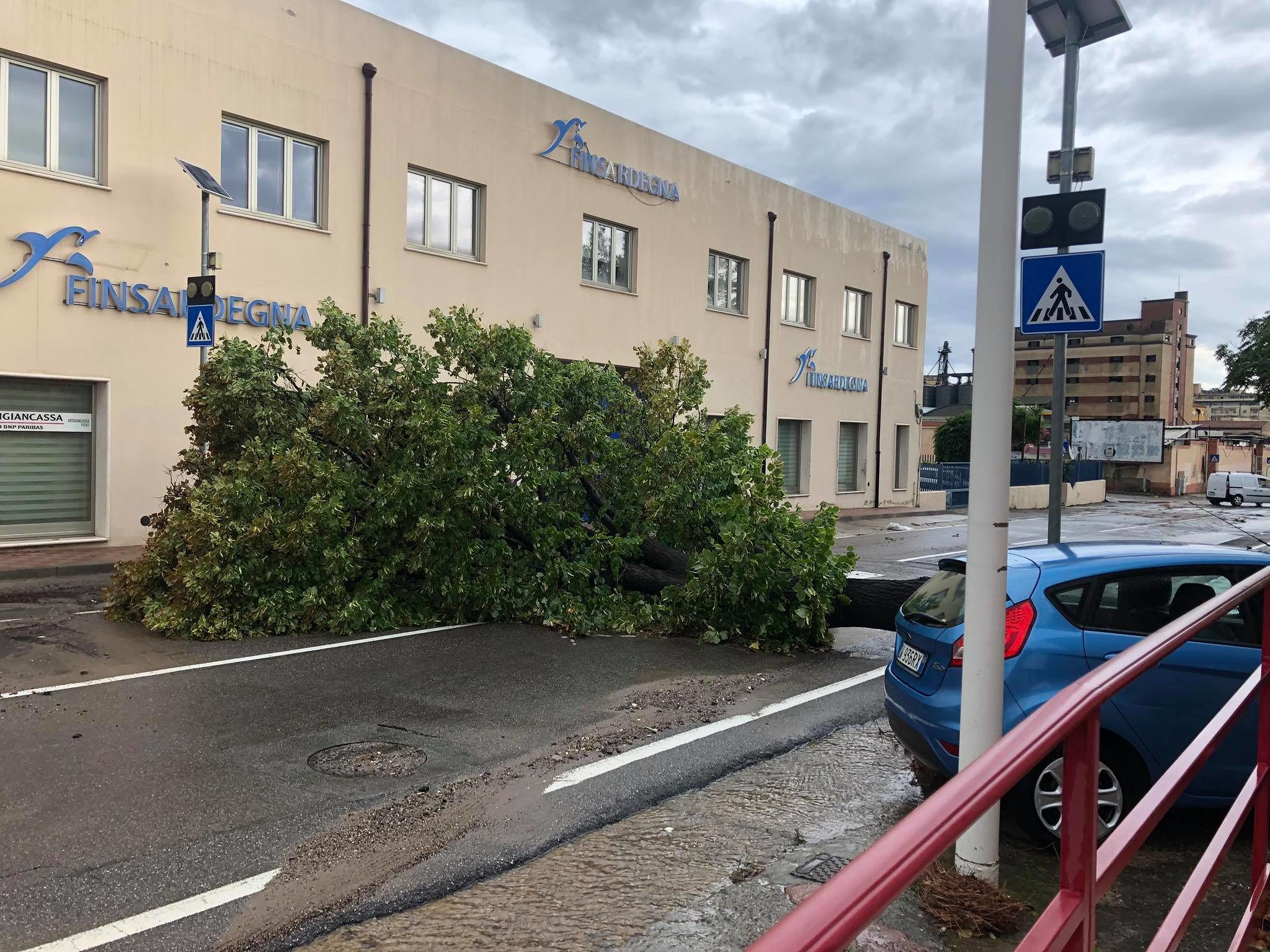 Nubifragio su Cagliari, un albero crolla in strada in viale Elmas – VIDEO