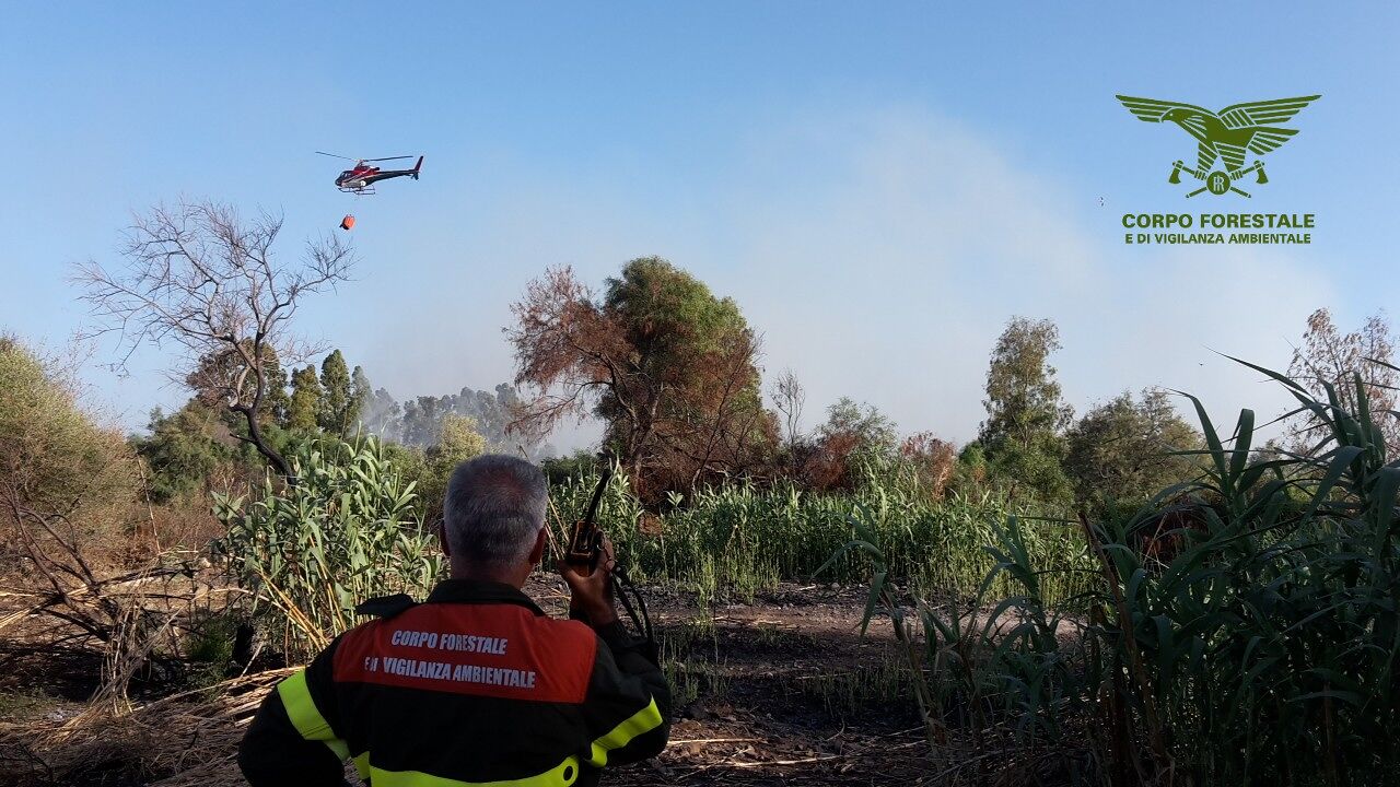 Fiamme a Segariu, distrutti 4 ettari di macchia mediterranea e pineta