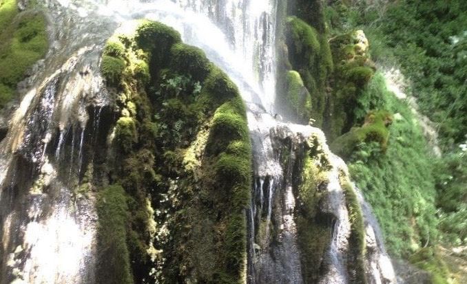 Sardegna verde come Irlanda e Umbria a passeggio tra i canyon con i mufloni 