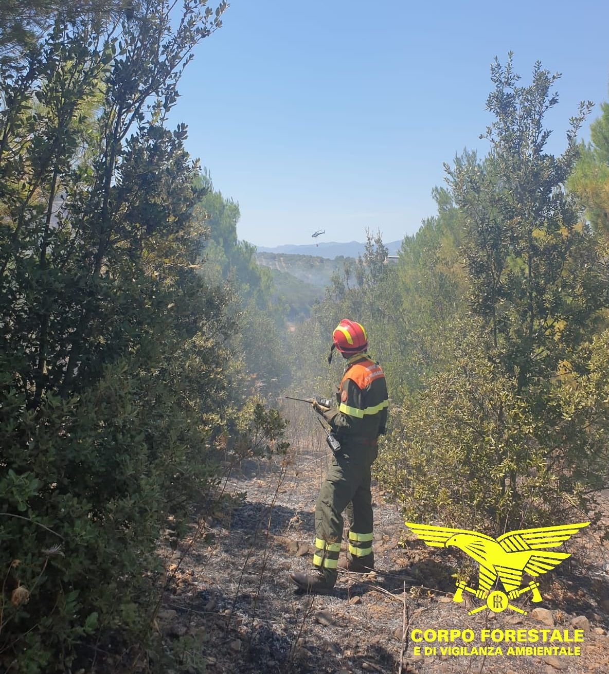 Dieci incendi in Sardegna, in cenere un ettaro di pascoli e terreni agricoli ad Alghero