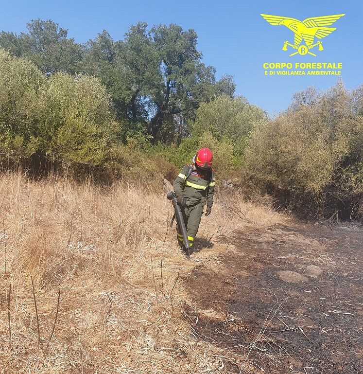 Cinque incendi oggi in Sardegna, nelle campagne di Ittiri in azione un elicottero
