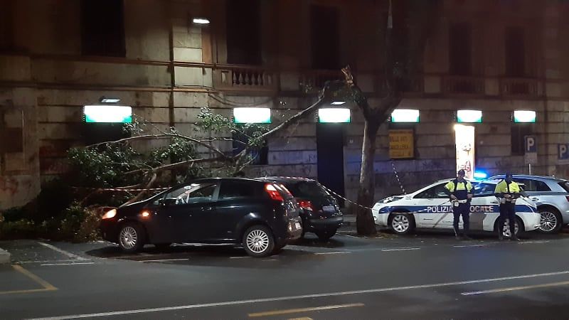 Cagliari, paura in viale Regina Elena: grosso ramo si spezza e precipita su un’auto
