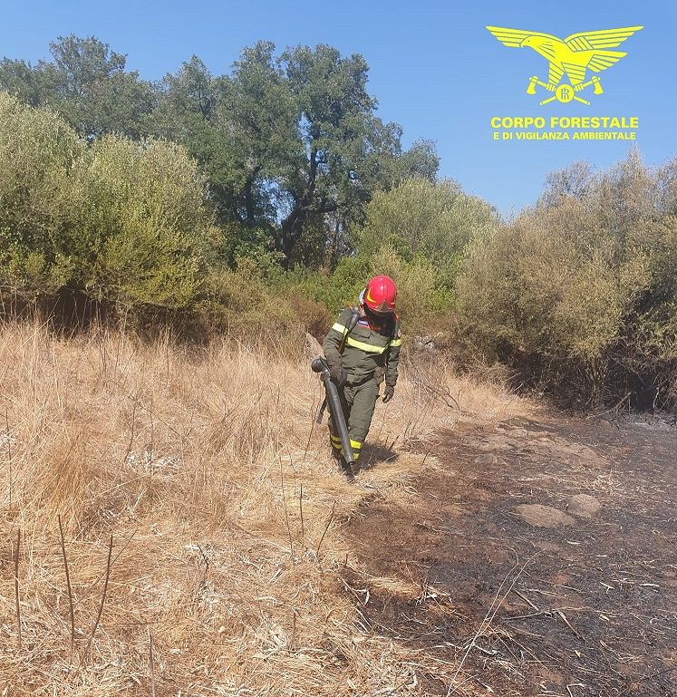 Sardegna sfregiata dal fuoco, odissea senza fine: quindici incendi in 24 ore