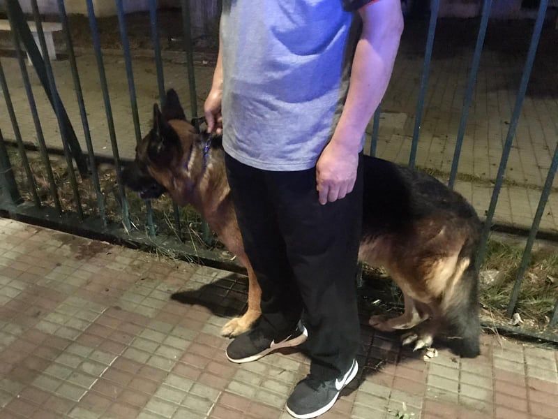 Decathlon “spaventa” i commercianti di Cagliari: “Ennesimo colosso aperto mentre continuano a chiudere i negozi”