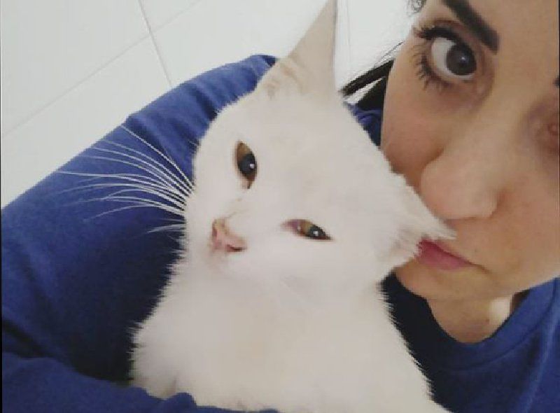 Orrore a Ussana: “Hanno ucciso la mia gatta di due anni, voglio giustizia”