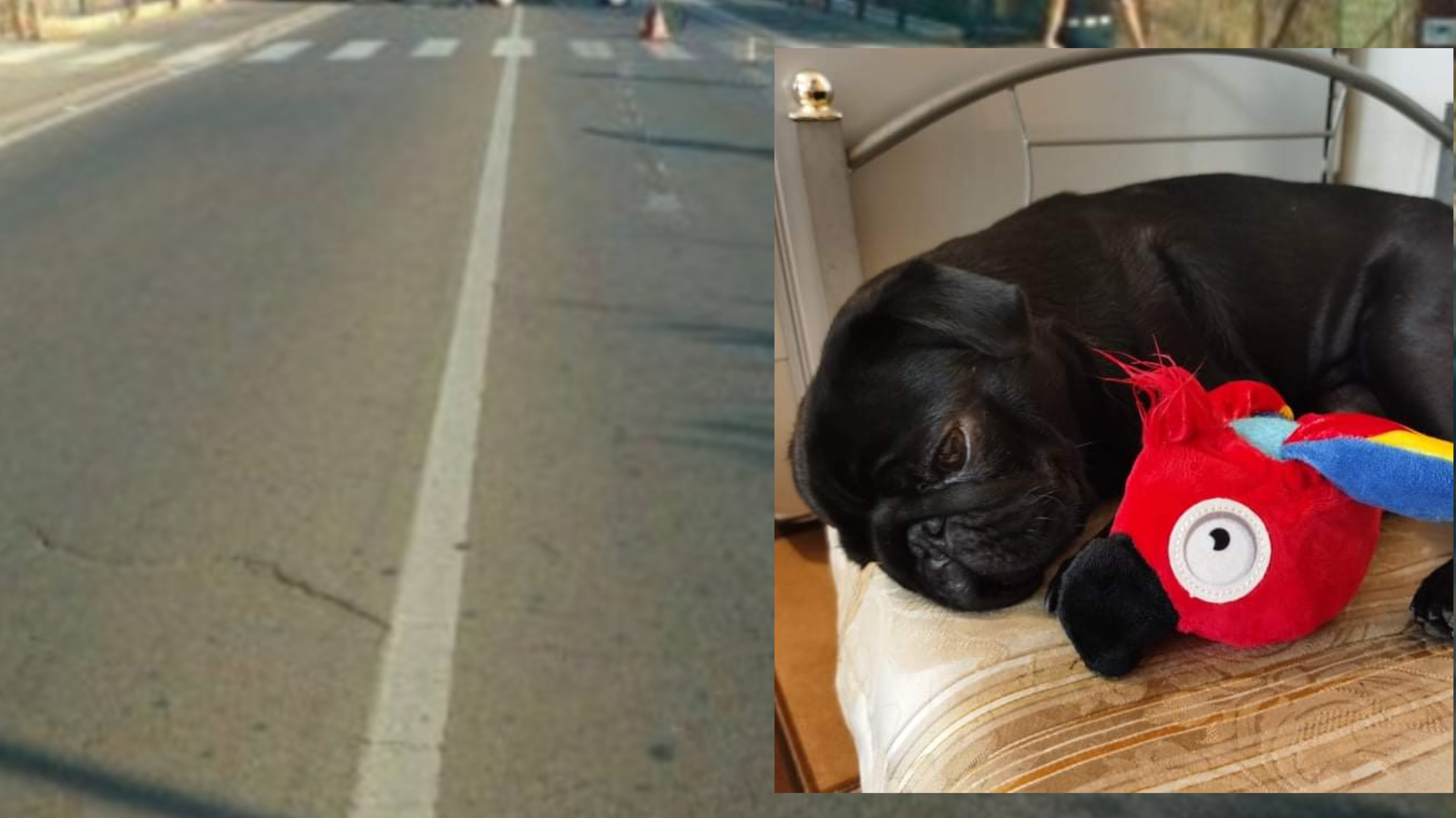 Quartu, viale Colombo come una pista di formula uno: “Auto incuranti dei passanti”