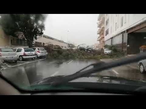 Massimiliano, giardiniere di Sinnai: “Così l’albero crollato in viale Monastir ha sfiorato la mia auto” (VIDEO)
