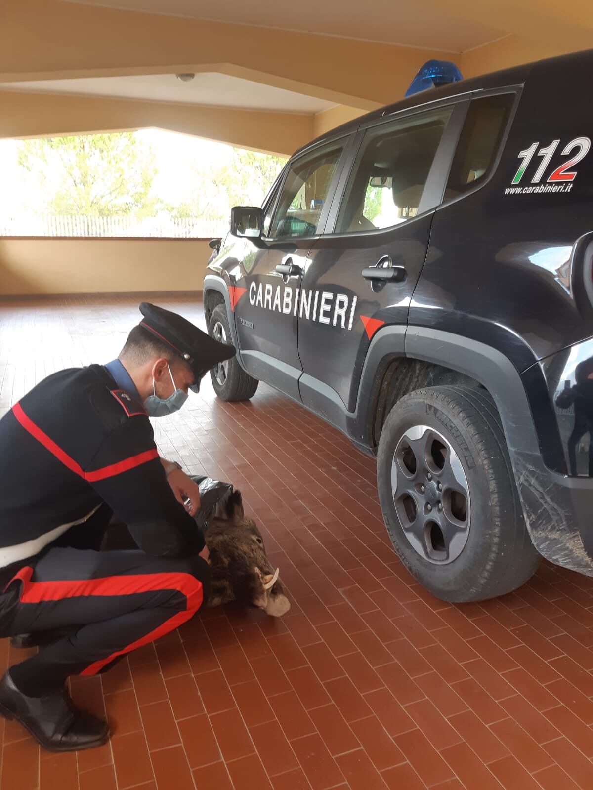 Caccia di frodo al cinghiale ad Arbus, zio e nipote ora rischiano l’arresto