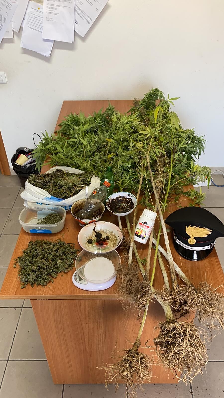 Produzione e vendita di droga, pusher in arresto a Uta