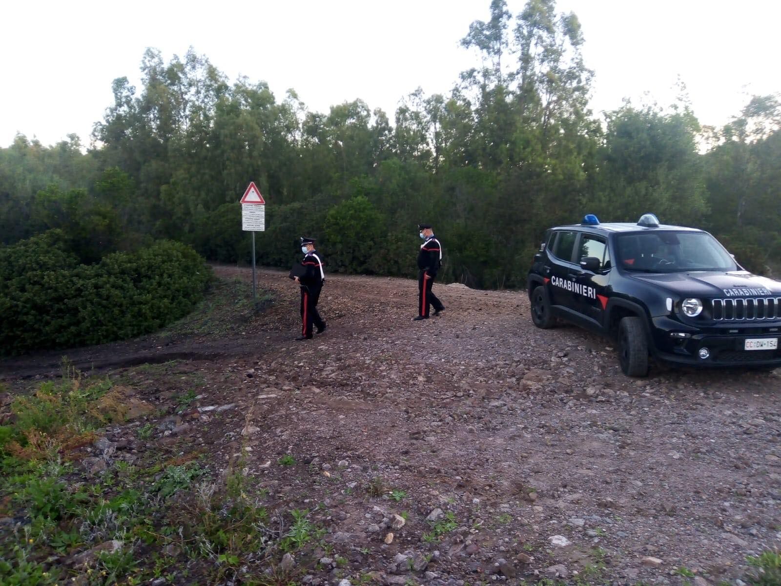 Scoperto un allevamento illegale di maiali a San Giovanni Suergiu