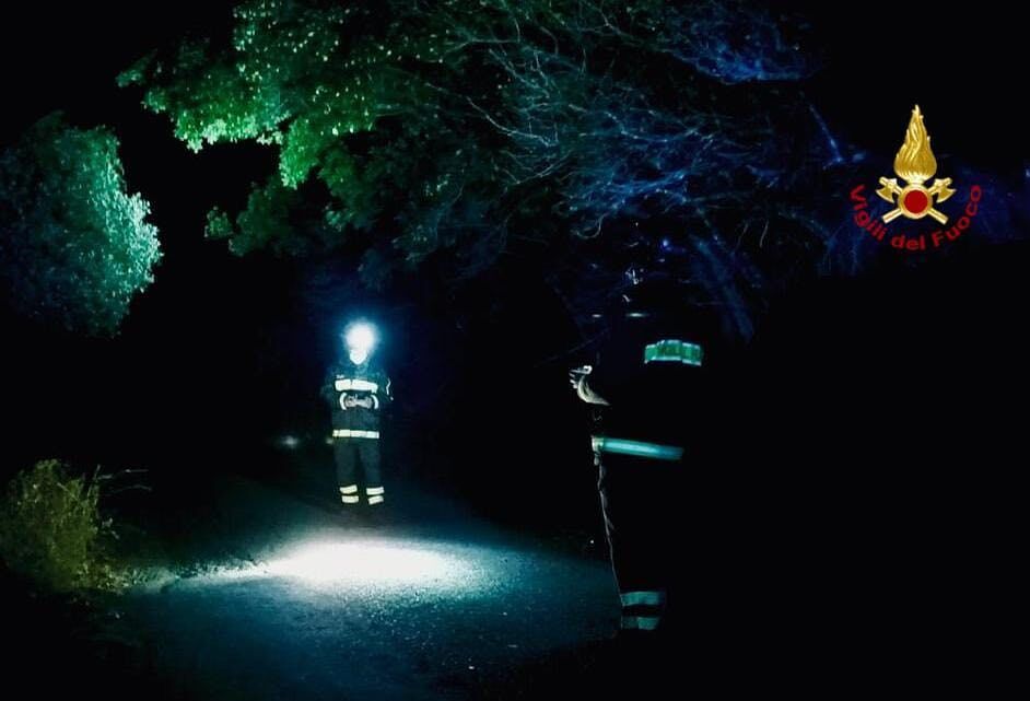 Ricerche a tappeto per trovare l’anziana scomparsa a Gonnosfanadiga