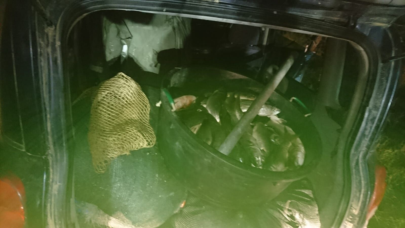 Pesca di frodo a Cabras, sequestrati e dati in beneficenza 70 kg di muggini e spigole