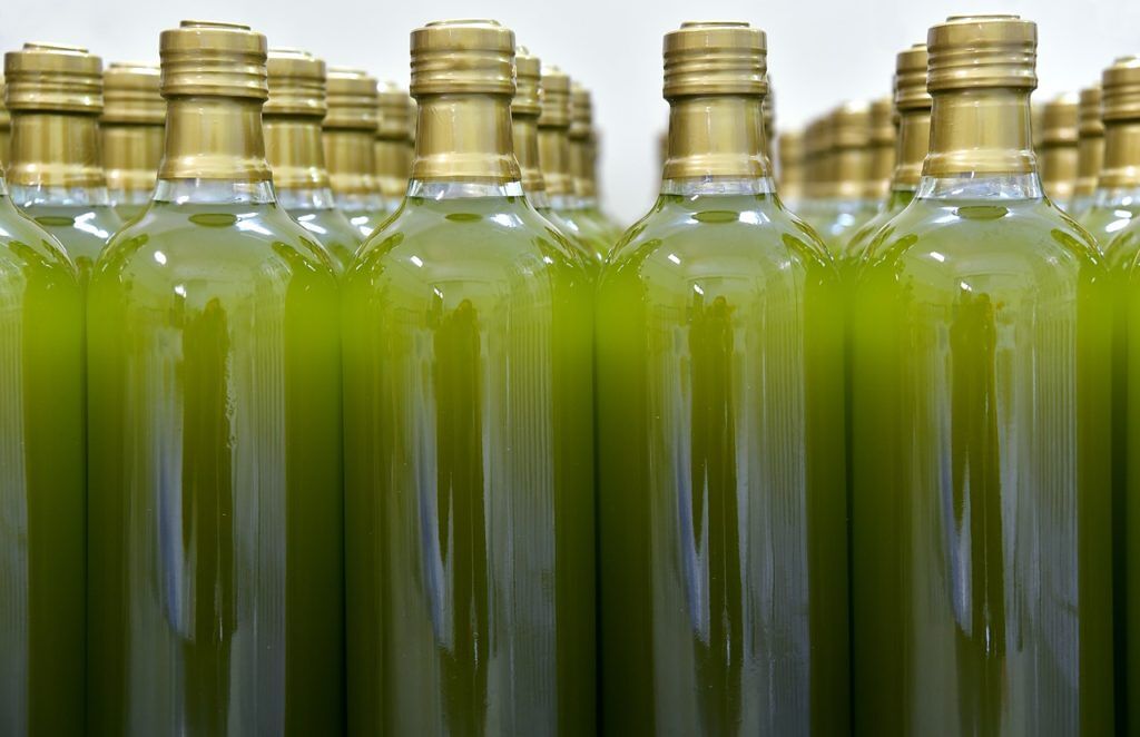 Olio, in Sardegna produzione dimezzata ma altissima qualità: “Colpa dei cambiamenti climatici”