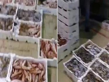Ristoranti chiusi alle 18, quintali di pesce invenduto al mercato di Cagliari: disperati i grossisti