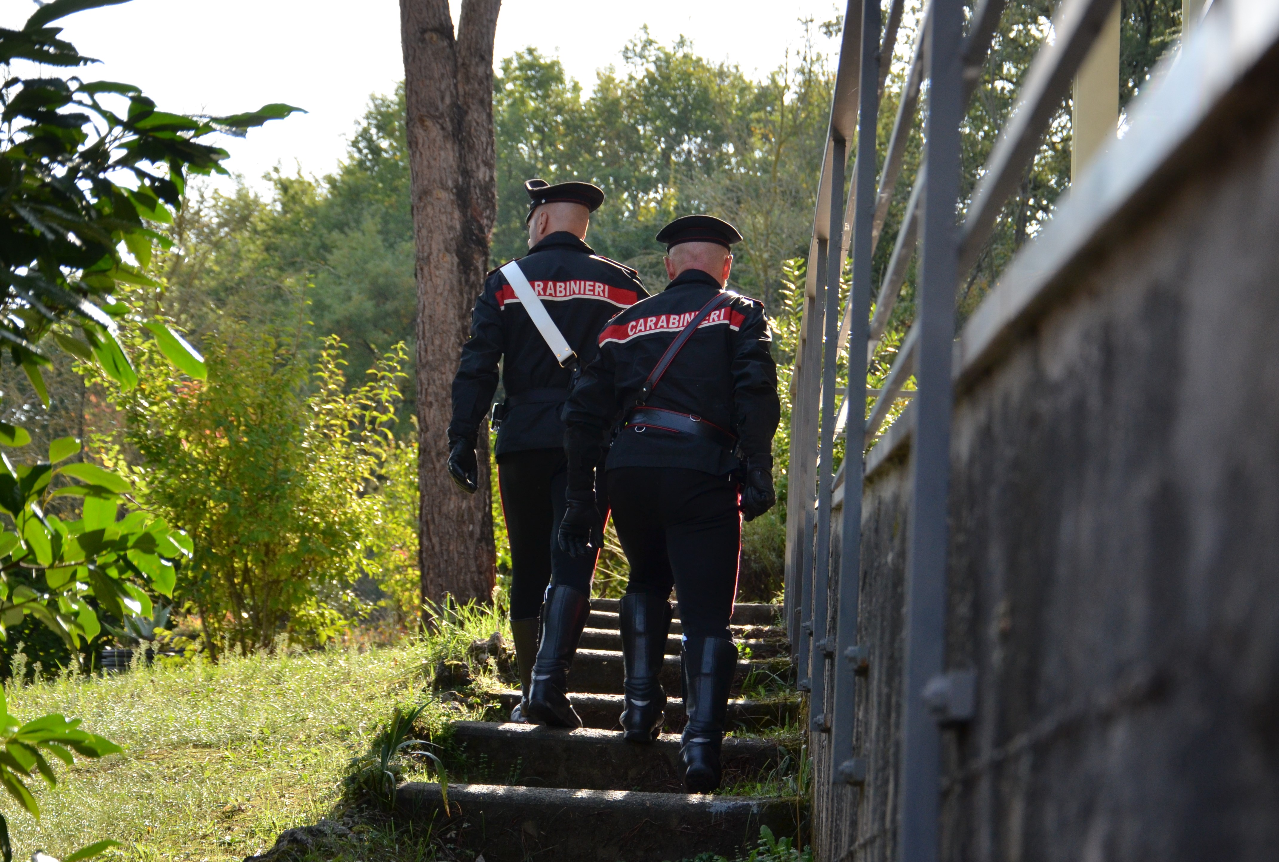 Burcei, allevatore denunciato per pascolo abusivo
