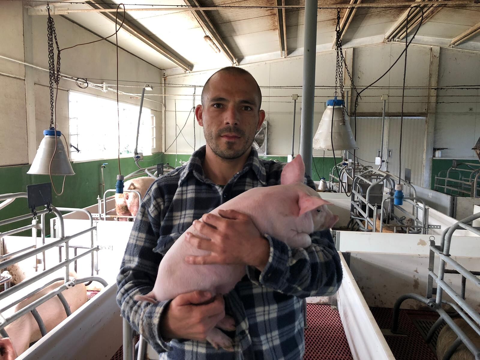 “Ristoranti semichiusi e feste annullate anche in Sardegna, libererò i miei maiali in strada”