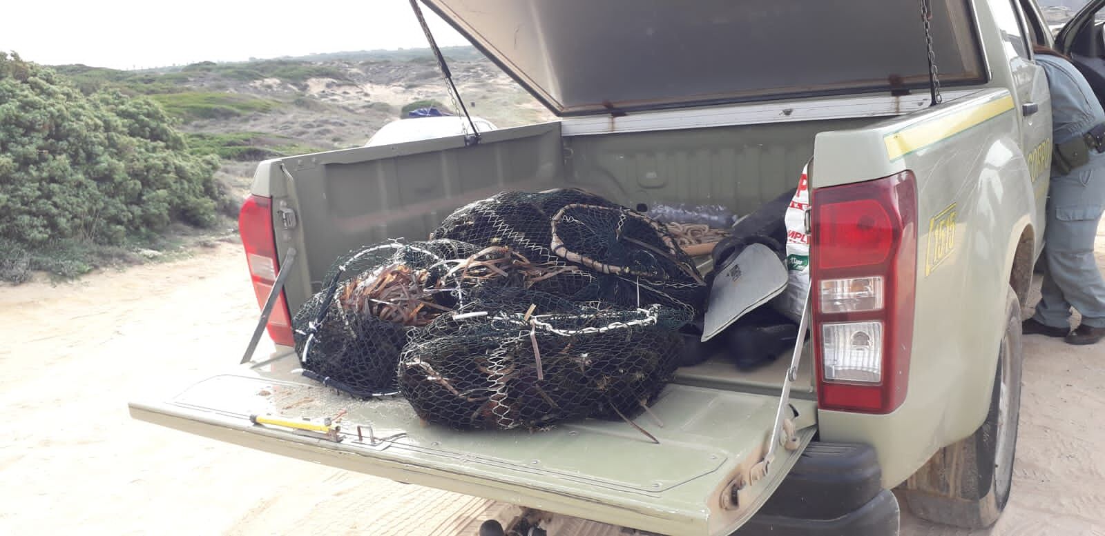 Pesca abusiva di ricci a Su Pallosu, maxi multa da mille euro a due cagliaritani