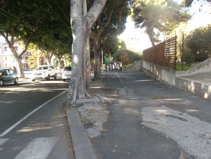 Cagliari, in viale Merello marciapiedi devastati dagli alberi: motoseghe in arrivo?