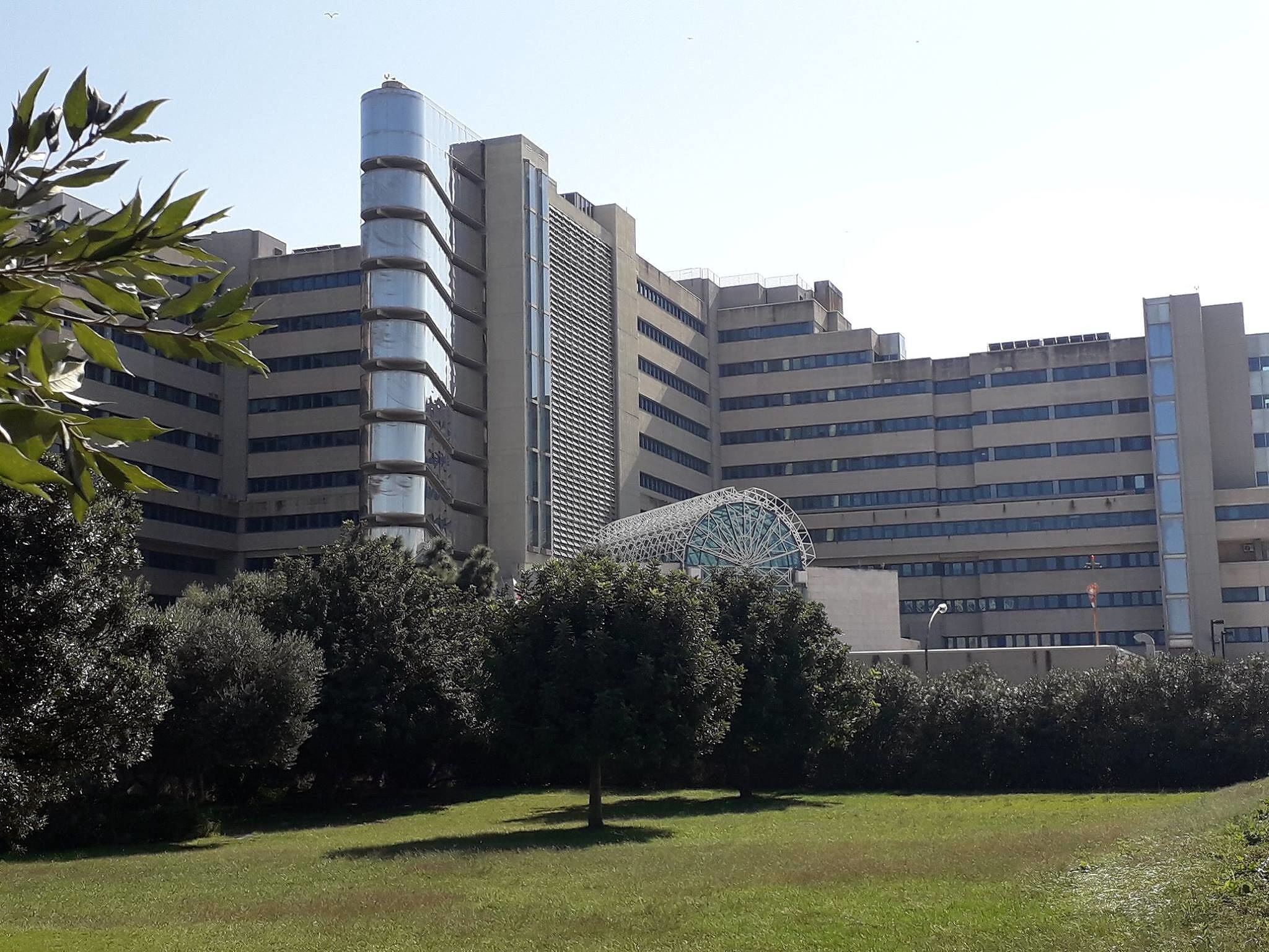 Cagliari, i tamponi dei bambini analizzati anche al Brotzu: “Esiti in 24 ore” 