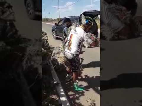 Cade con la bici e finisce in un campo di cactus e si rialza pieno di spine: ecco l’esilarante video