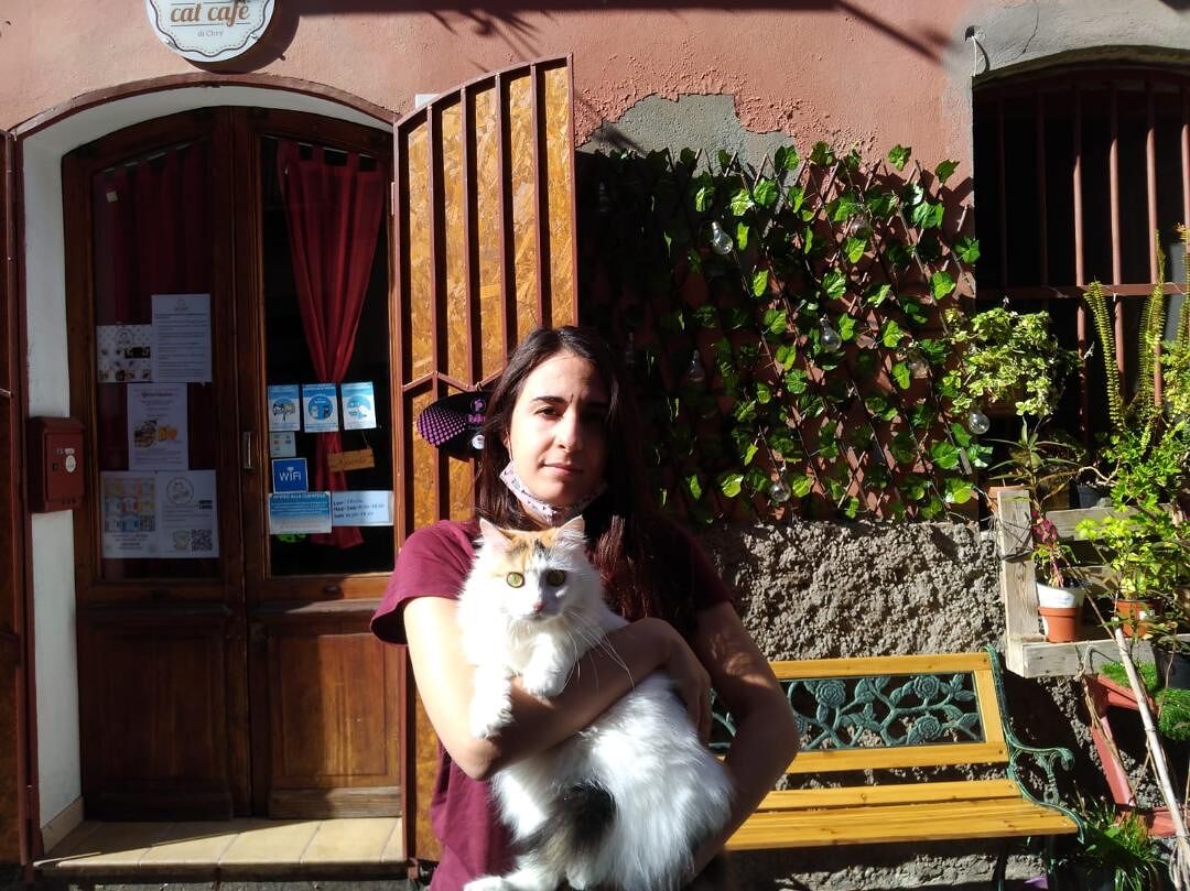 Cagliari, il primo “Cat Cafè” sull’orlo del baratro: “Zero incassi con la chiusura alle 18”