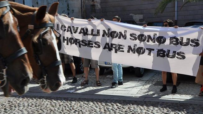 Carrozze per turisti a Cagliari, i cocchieri: “I cavalli? Per noi son come figli”