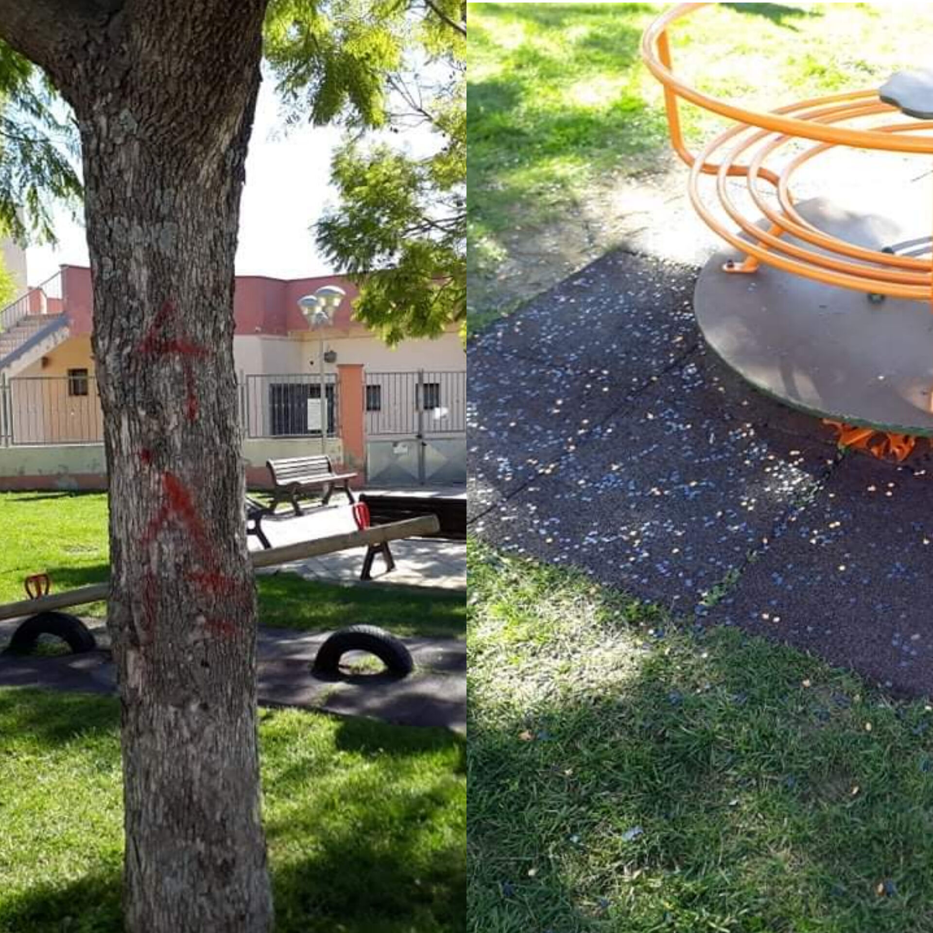 “Bambina imbratta un albero davanti alla madre che non la riprende”, la denuncia a Quartucciu