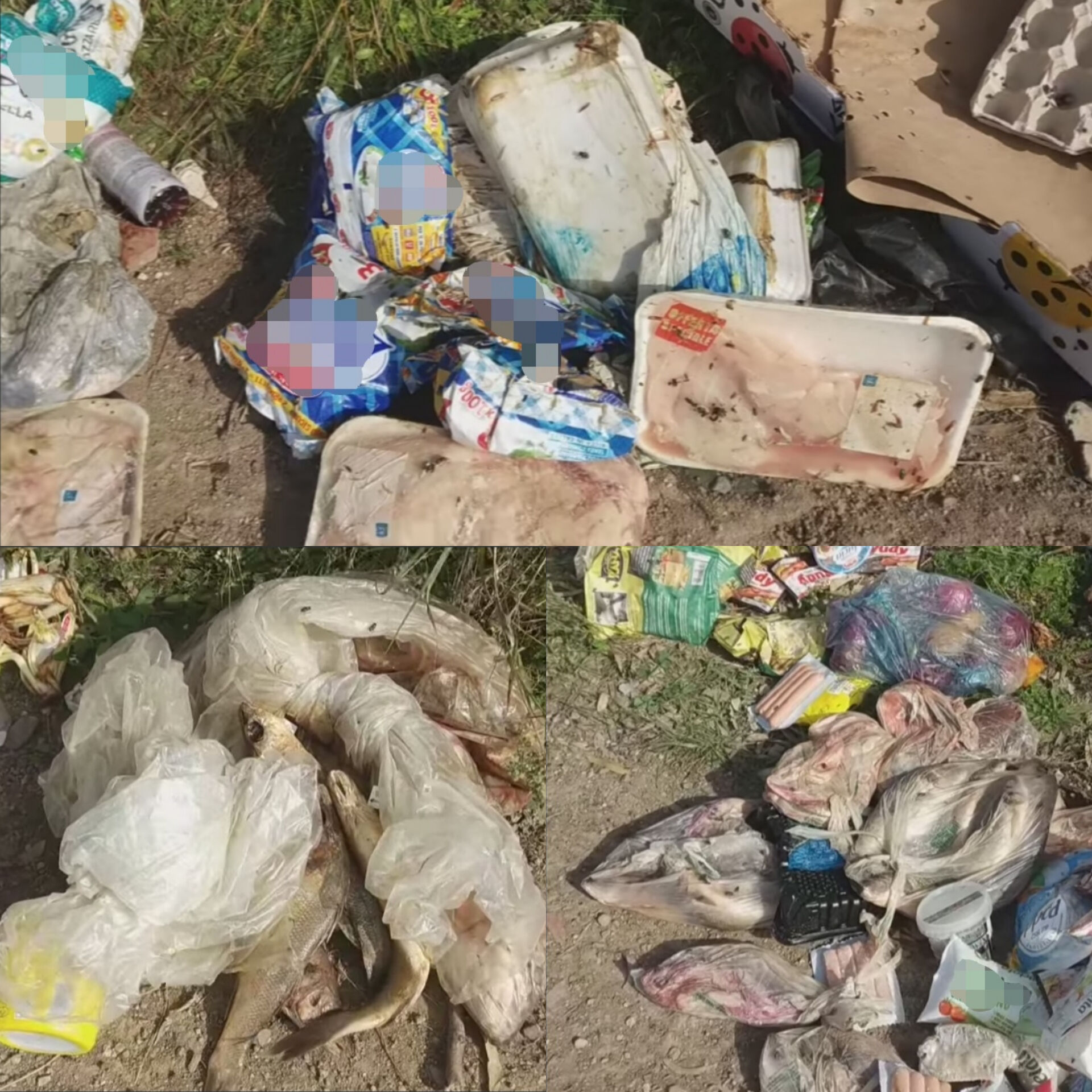 Samassi, spunta una nuova discarica abusiva: decine di buste piene di carne e pesce gettate in campagna