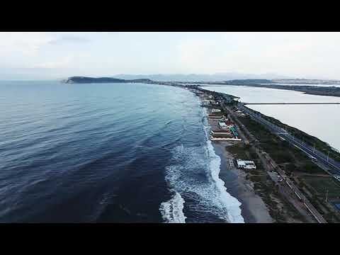 Poetto, il giorno dopo la mareggiata: “Le prime vittime sono sempre gli innocenti, povero agnellino” (VIDEO)