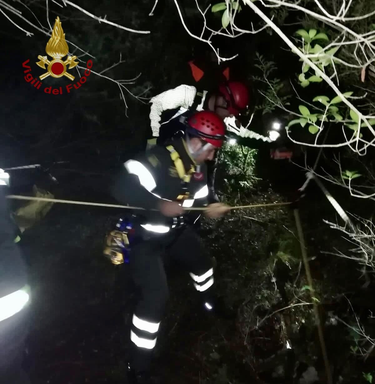 Armungia, 3 cani da caccia cadono in un pozzo: recuperati dai vigili del fuoco