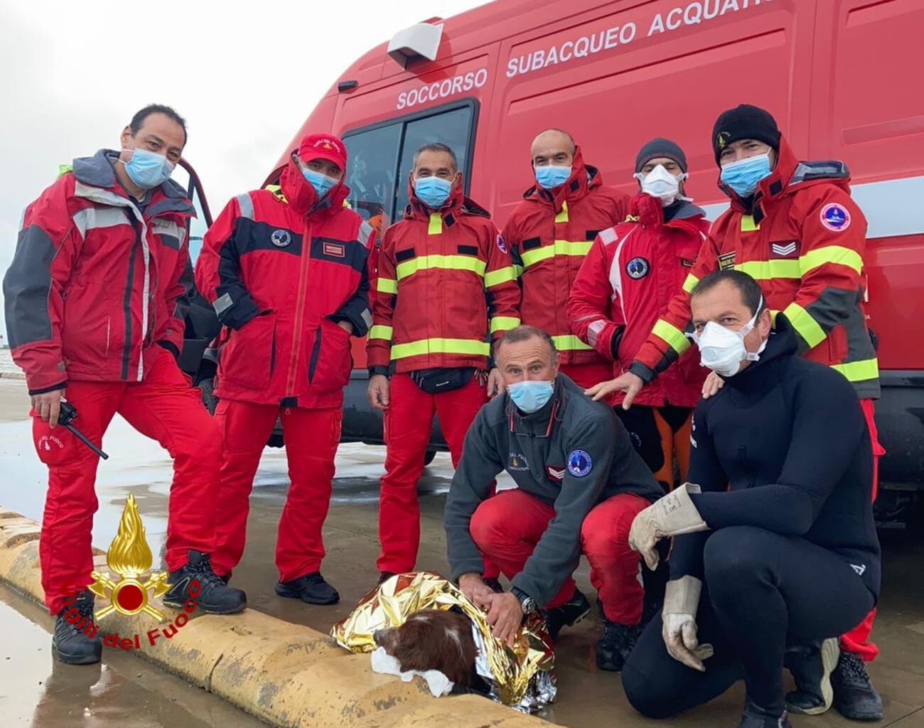 Cagliari, cane cade in acqua al porto: salvato appena in tempo dai vigili del fuoco