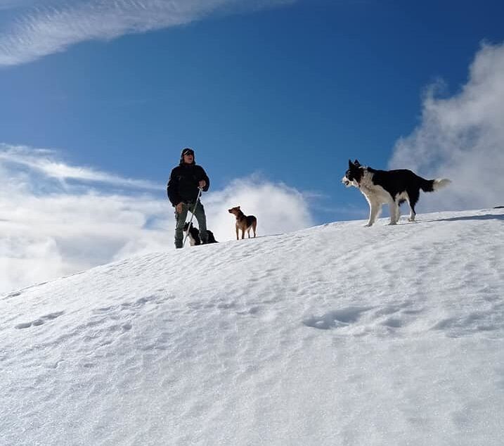 Una passeggiata sui monti del Gennargentu in compagnia di amici speciali