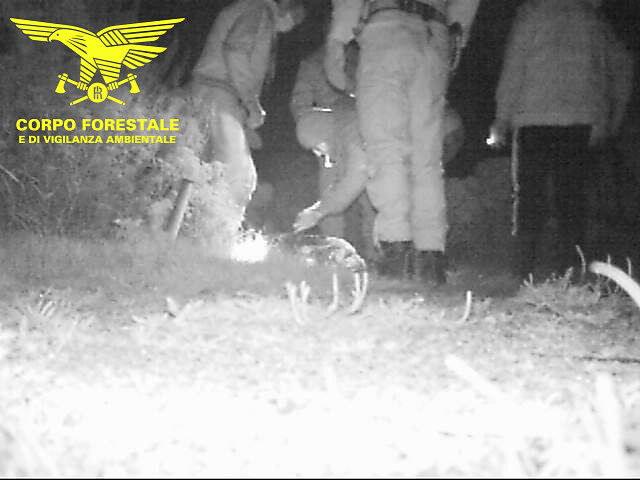 Sorpresi a pescare muggini dentro il Parco di Molentargius: denunciati 3 pescatori professionisti