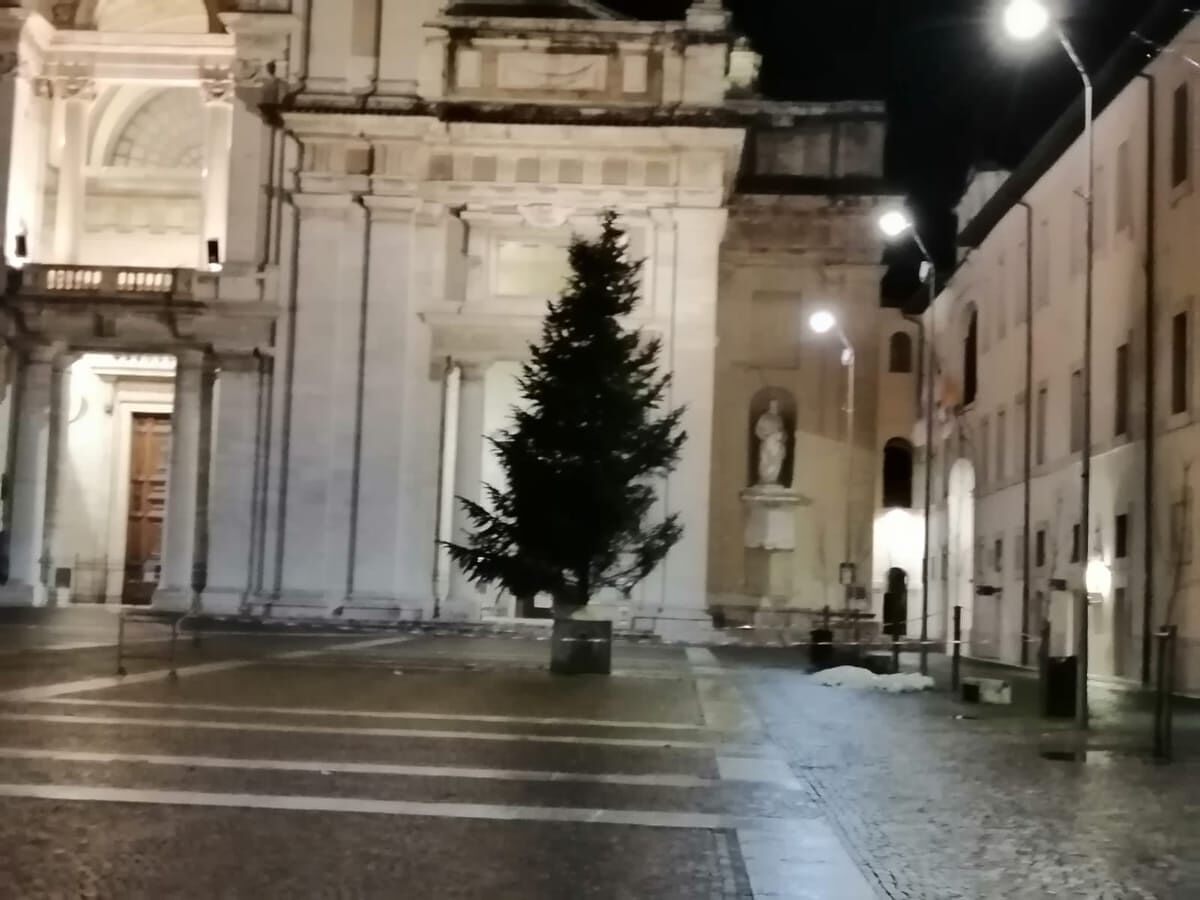 Il dono speciale della Sardegna ai frati di Assisi: un maxi albero di Natale
