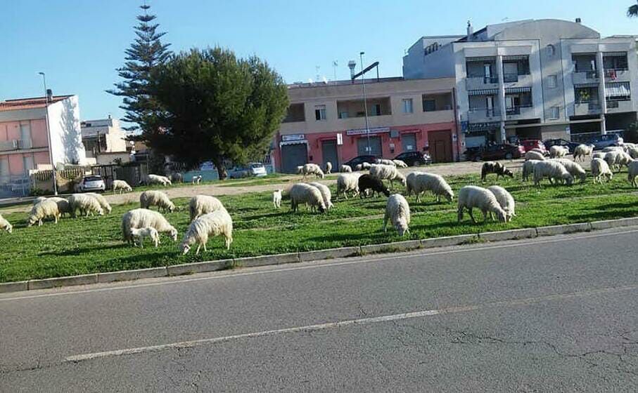 Monserrato, residenti di via Porto Botte sul piede di guerra: scatta una petizione per la scarsa sicurezza della strada