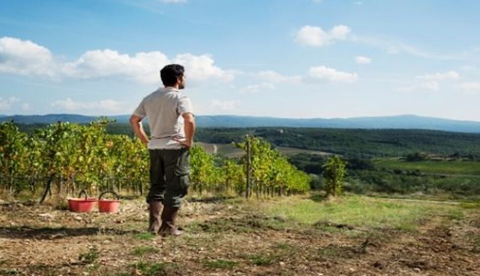 Terreni ex Agris ai giovani, nuove opportunità di lavoro a Villaspeciosa