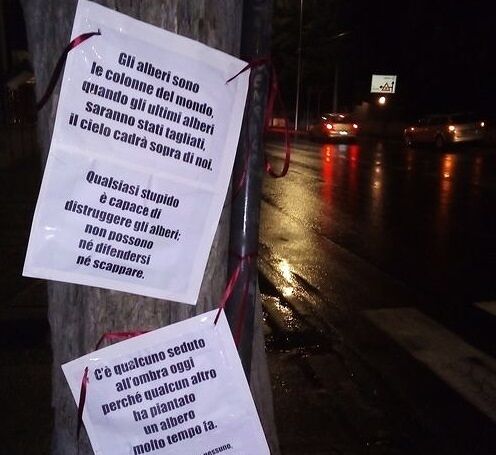 Taglio degli olmi in viale Marconi, rivolta a Cagliari: cartelli di protesta sugli alberi