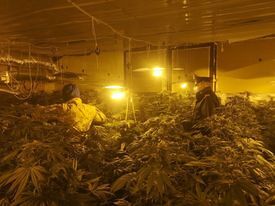 Uta, scoperta una maxi serra di marijuana in un capannone: doppio arresto dei carabinieri
