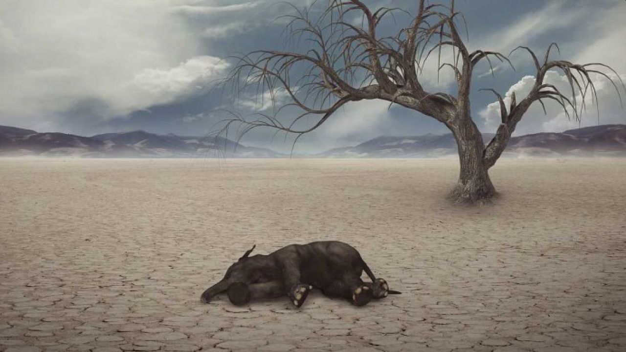 Ogni 27 milioni di anni c’è un’estinzione di massa