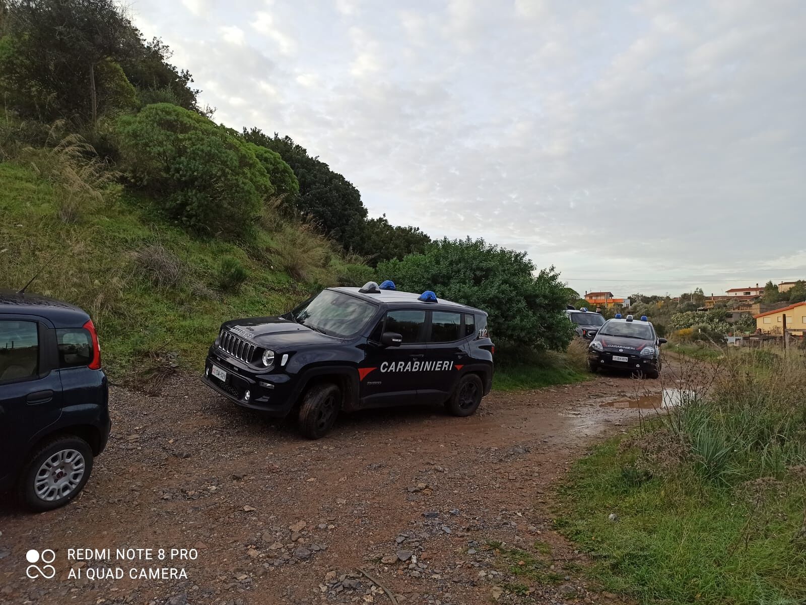 Simula un furto di maiali per evitare sanzioni: allevatore di Dolianova denunciato