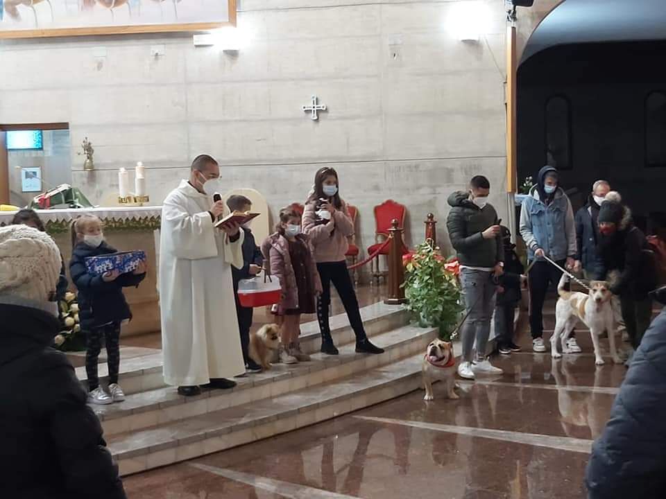 Il Covid non ferma la tradizione, a Monserrato benedetti gli animali in chiesa