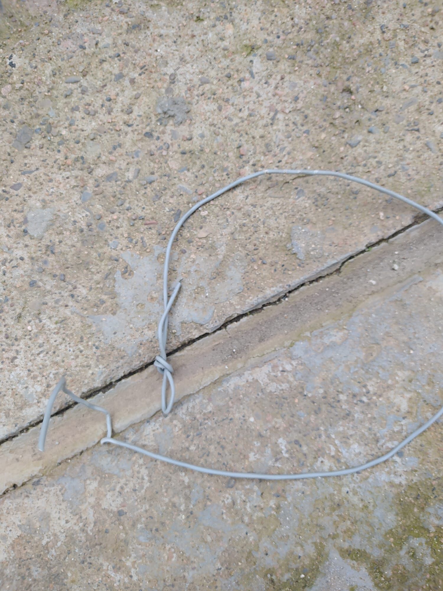 Ancora maltrattamenti sugli animali a Sinnai: “Il mio gatto trovato con un cappio al collo, è vivo per miracolo”