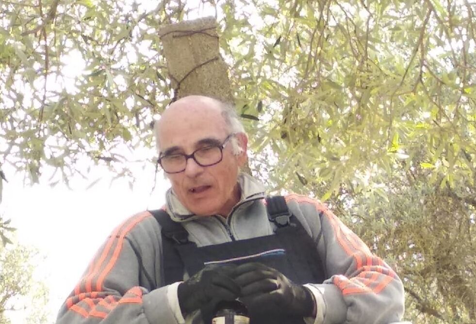 Aurelio Sirigu di Senorbì a Radio Casteddu: “Mi hanno rubato 20 piante di ulivo”