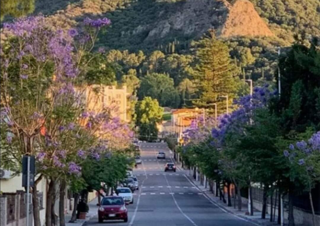 Incidente tra Samassi e Vallermosa, auto si ribalta e finisce fuori strada: il conducente aveva bevuto
