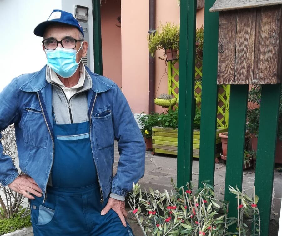 Senorbì, la bella sorpresa dopo il furto: regalati 20 ulivi al nonnino derubato