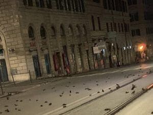 Scena agghiacciante a Roma: centinaia di uccelli precipitano morti dopo i botti di Capodanno