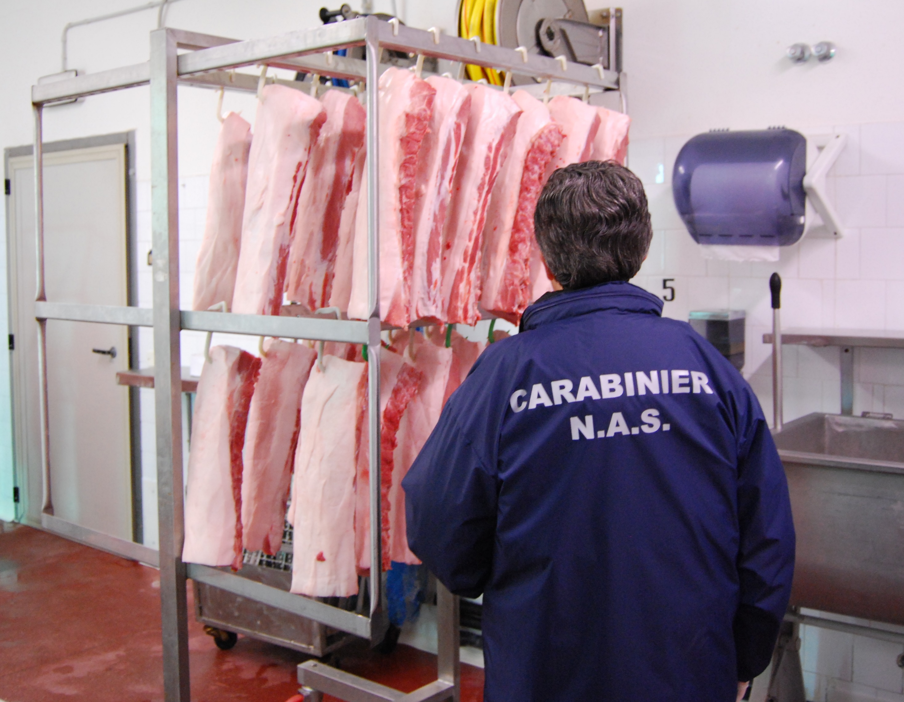 Maialetti “clandestini” a Cagliari, blitz dei Nas nelle macellerie: senza tracciabilità scatta il sequestro