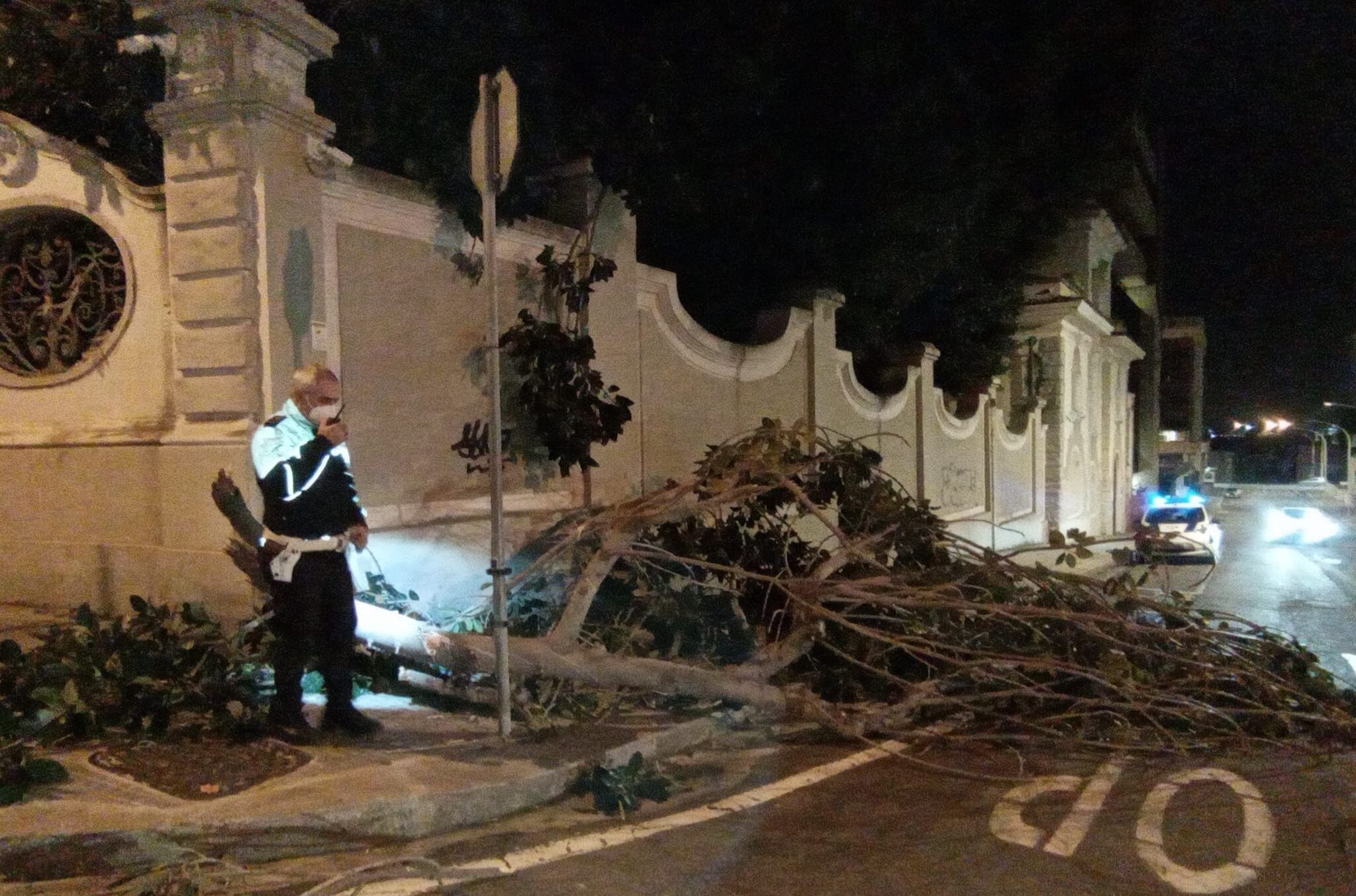 Raffiche di vento a Cagliari, un albero crolla sul marciapiede in viale Trento